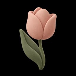 Tulipa
